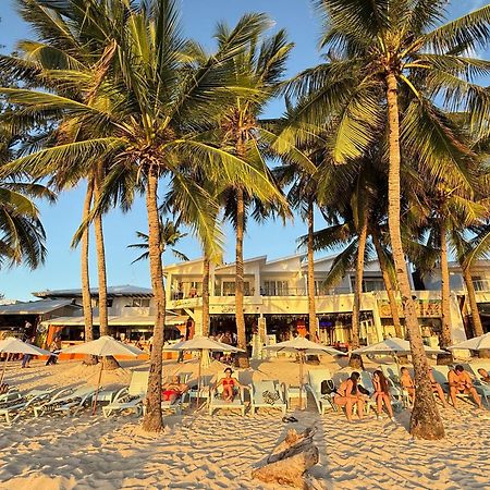 Calypso Beach And Dive Resort Manoc-Manoc Exteriér fotografie