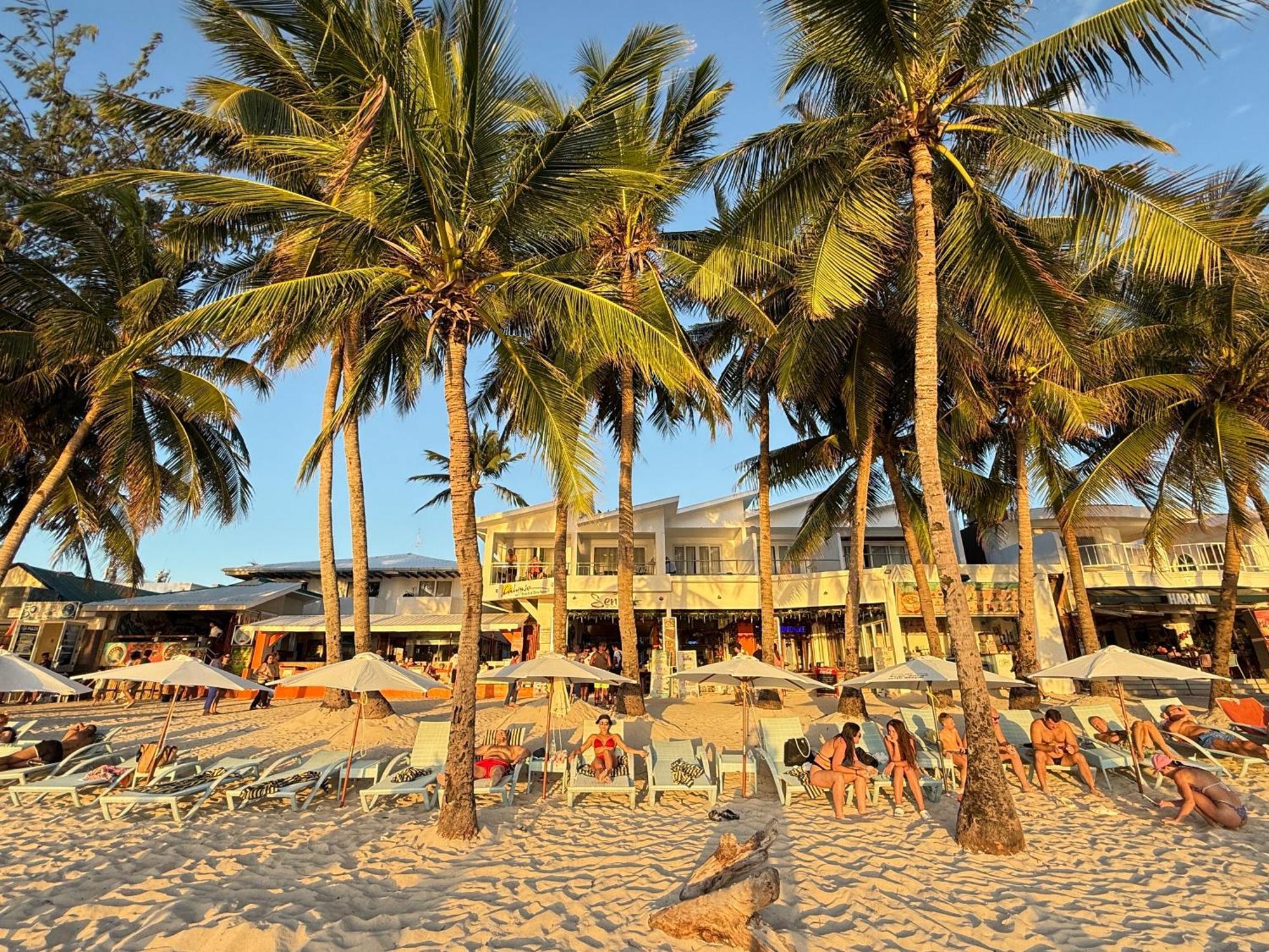 Calypso Beach And Dive Resort Manoc-Manoc Exteriér fotografie